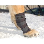 ReDog® Carpusskydd 5 mm - NYHET - Svensktillverkade